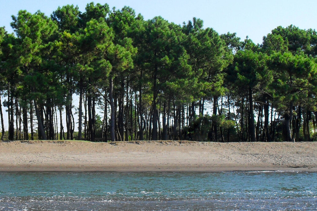 РљРµРјРїРёРЅРі Pine Beach