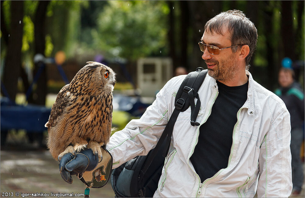 Ручной филин из Симферопольского зоо-уголка. 