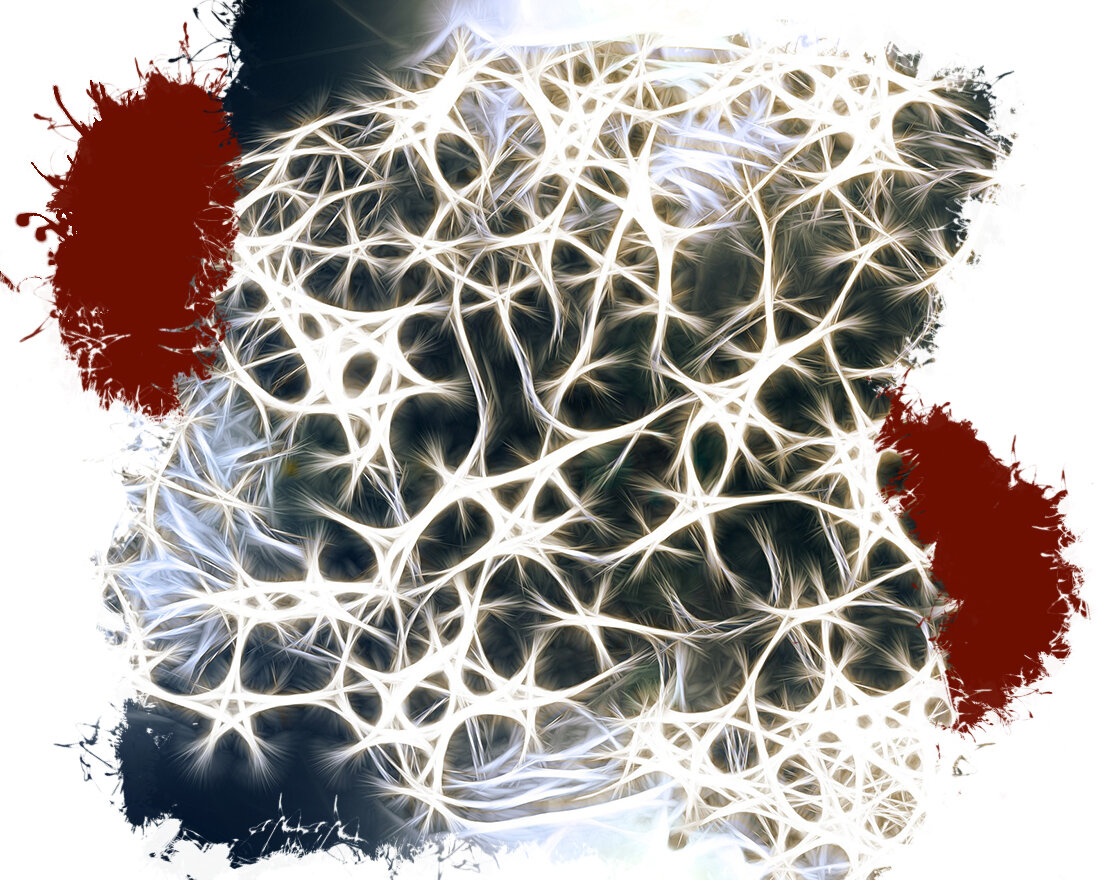 1. Image by Gerd Altmann from Pixabay 