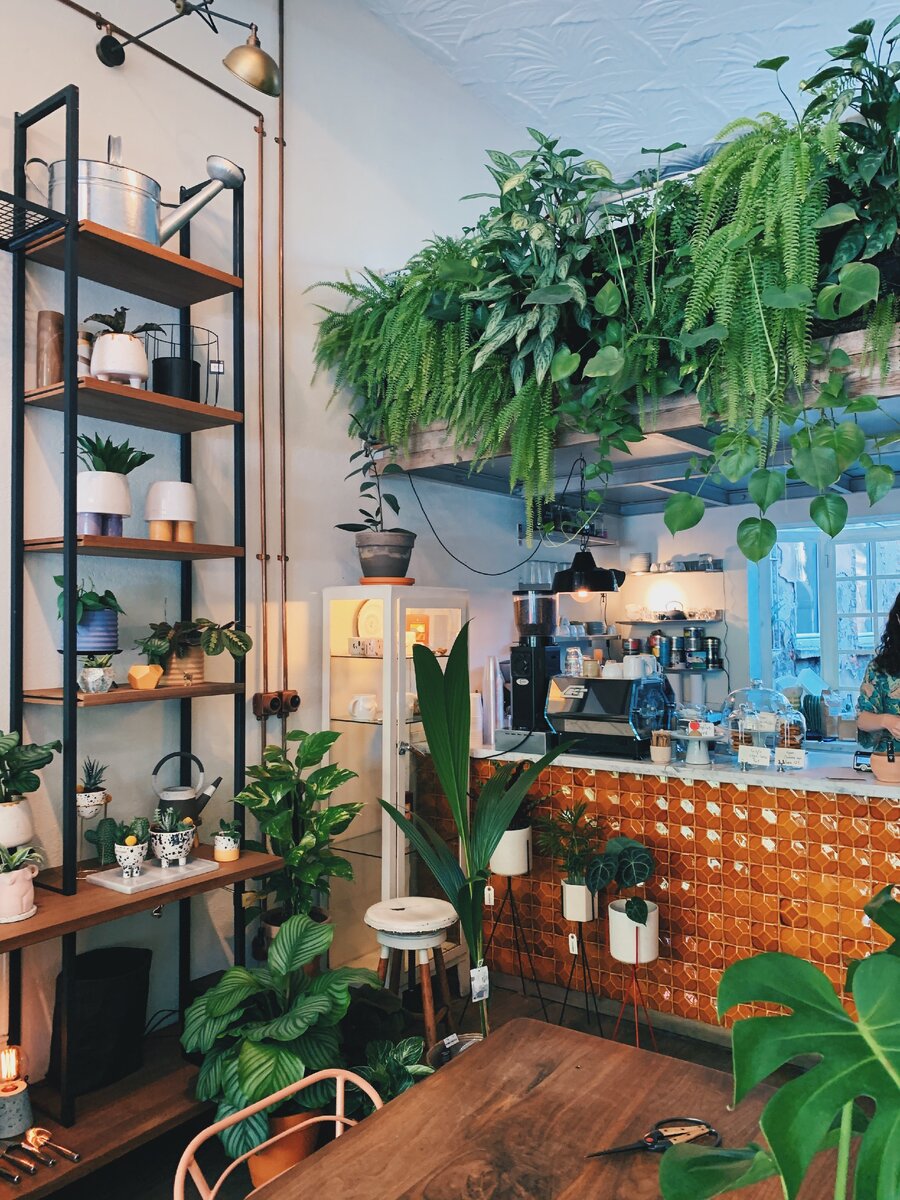 MÜZ, Firuzağa, Hayriye Cd. 18/A, 34425 Beyoğlu/İstanbul