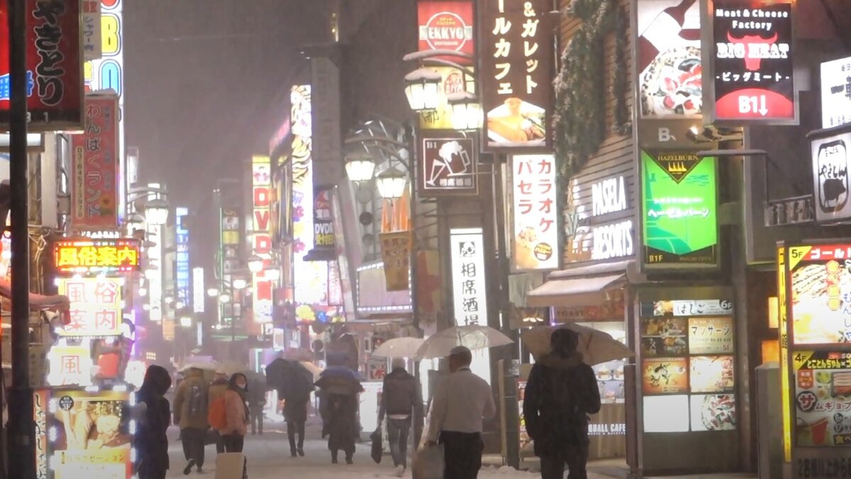 В Токио обычно не бывает снега, но бывают исключения - фото автора