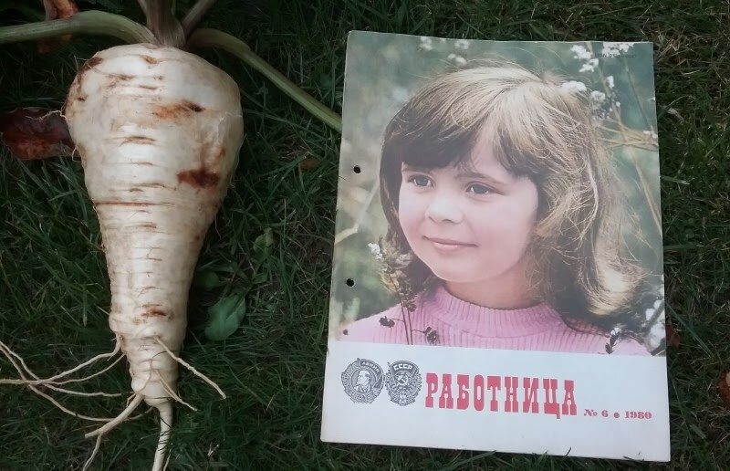 Корень пастернака. Журнал для сравнения