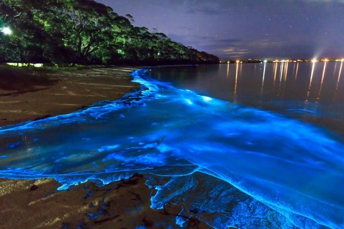 Светящийся пляж или Море Звезд (Sea of Stars) находится на побережье острова Ваадху (Vaadhoo) в атолле Раа, Мальдивы. Свечение объясняется биолюминесценцией планктона — химическими процессами в его организме, при которых освобождающаяся энергия выделяется в форме света.
