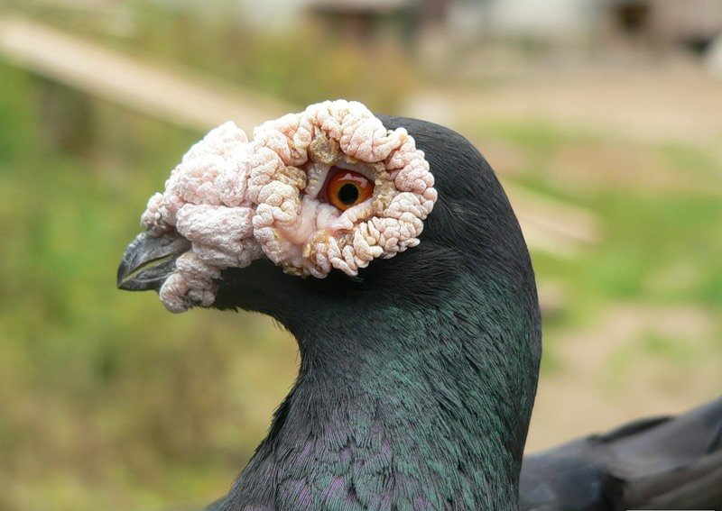 Я, конечно, не Смауг, но и вы не хоббиты. 