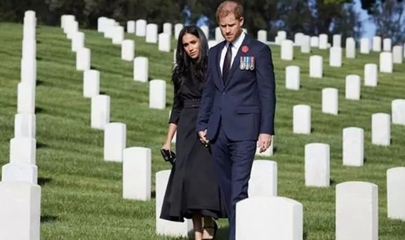 Фото из открытого источника: gettyimages.com