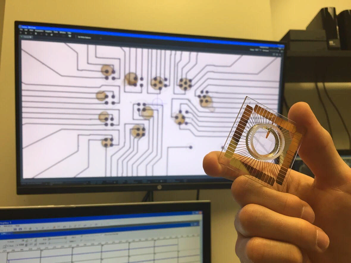 Не так давно изобретенный гибридный биологический нейрочип. (Функция - запись сигналов)