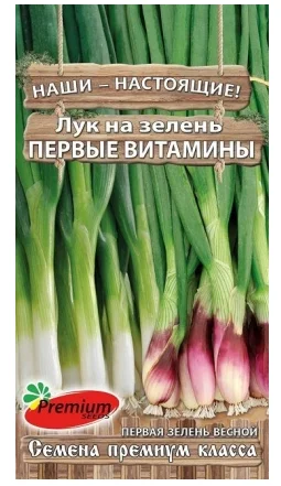 Семена лука на зелень