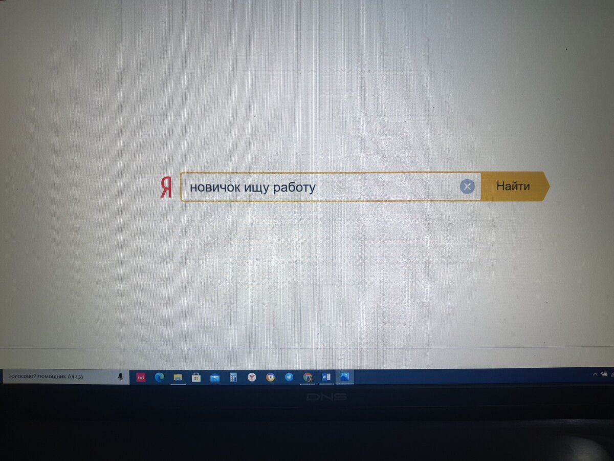новичок ищу работу