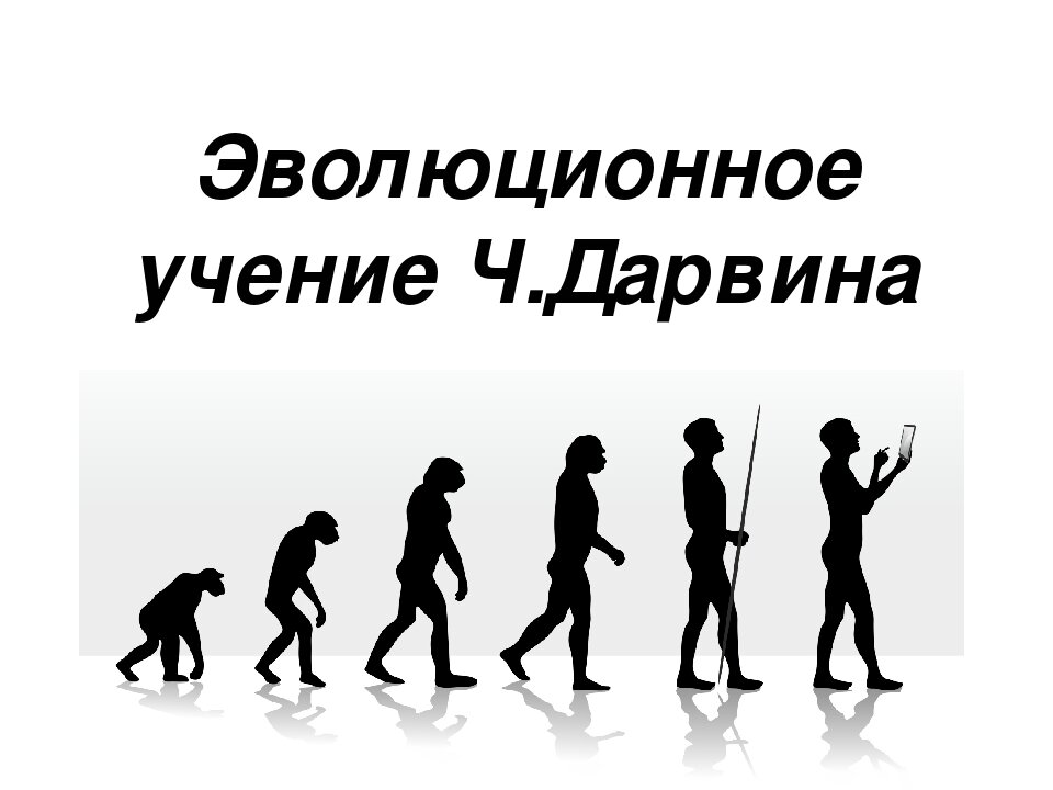 Учение об эволюции. Эволюционное учение Дарвина. Эволюционная теория Дарвина 9 класс. Революционные учения Дарвина. Теория эволюции Дарвина презентация.