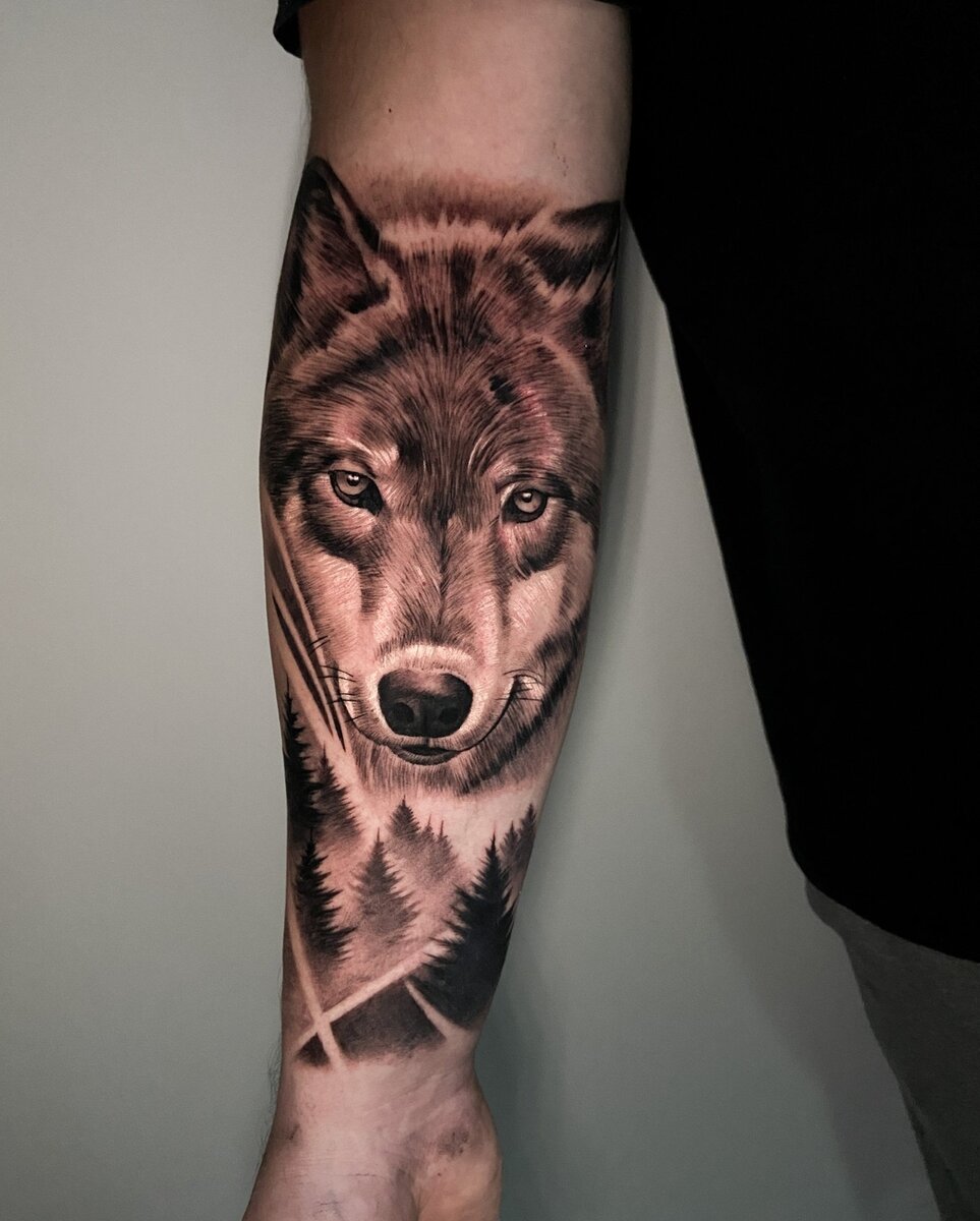 Татуировка волка на предплечии