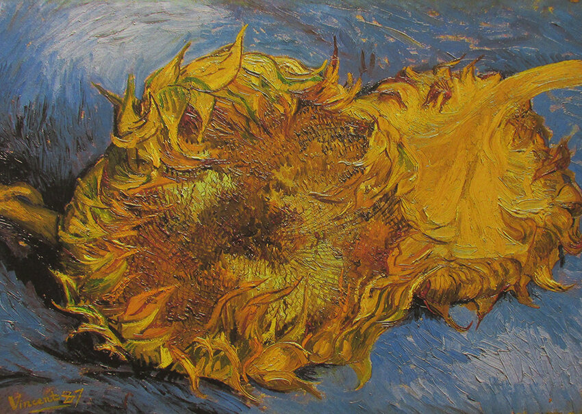 Чаще все Ван Гог рисовал подсолнухи 