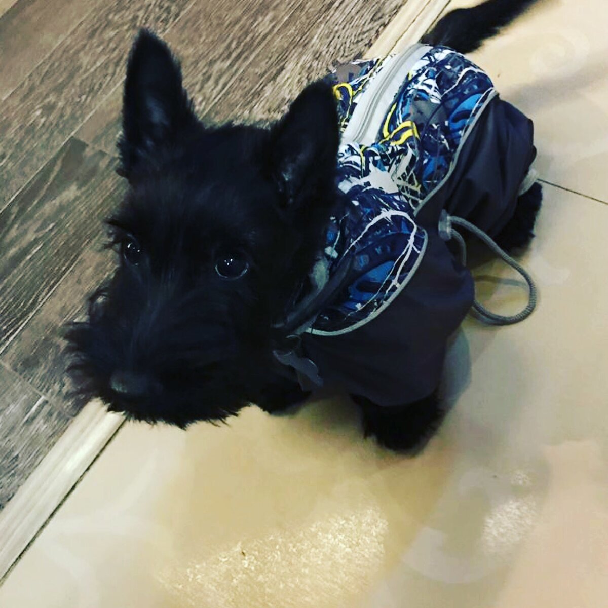 моя девочка.