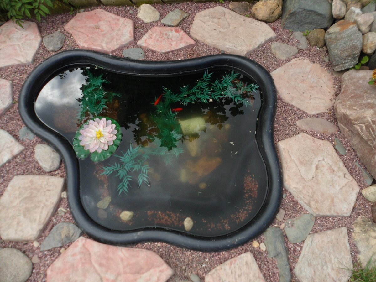 это мы их только купили