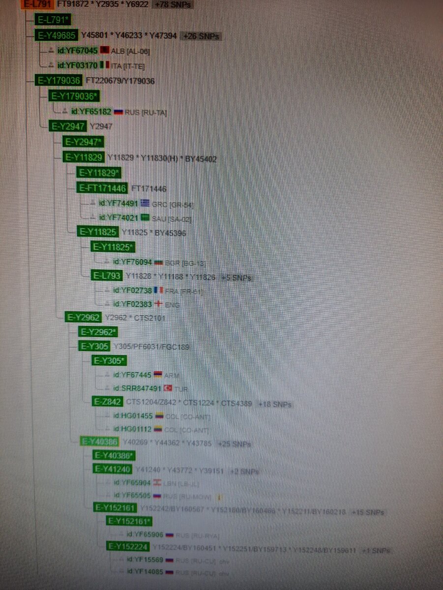 Два "Чуваша" внизу, с Е-Y152224   (кстати, наверху есть мишар)