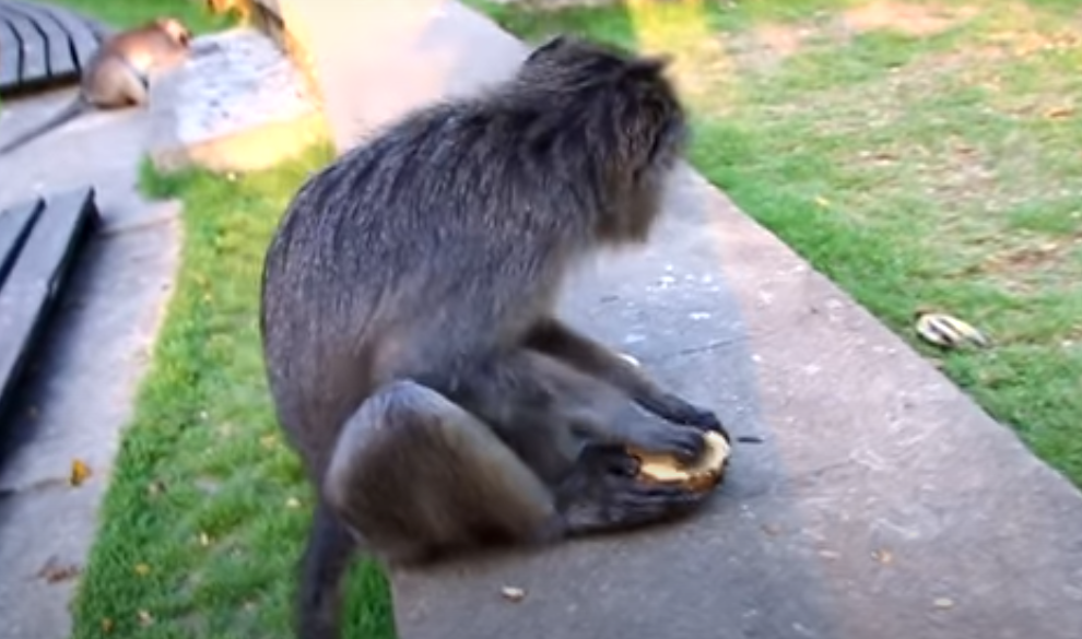 Полное довольствие с трехразовым питанием.