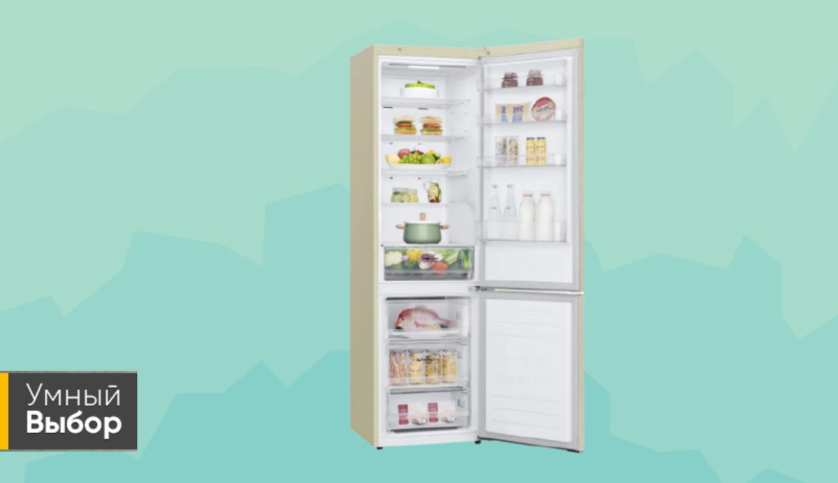 Холодильник lg doorcooling+ ga-b509 sbdz. Холодильник lg doorcooling ga b509ceqm. Холодильник lg b509. Холодильник lg doorcooling+ ga-b509 sekl. Холодильник lg doorcooling ga b509ceqm.