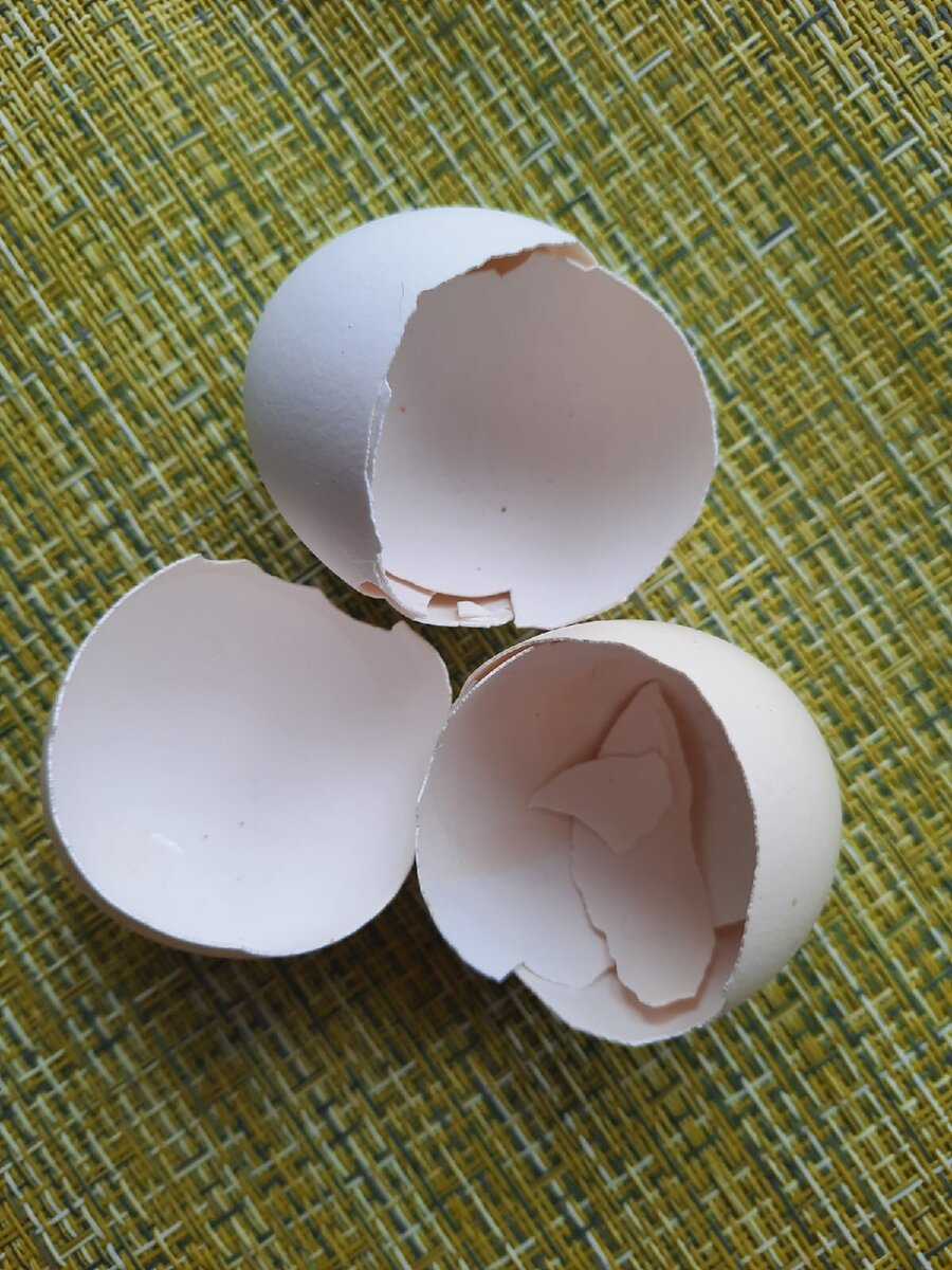 Фото из личного архива автора