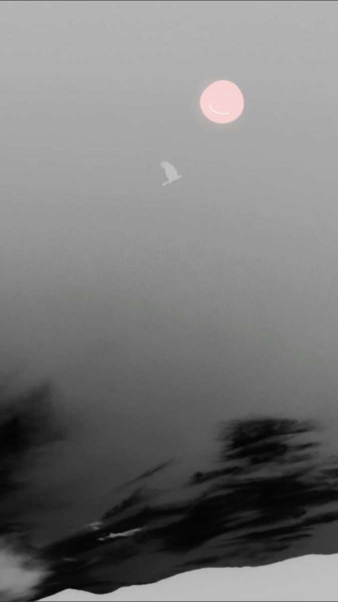 Как известно, сегодня полнолуние. И, как пишут многие источники, – розовое суперлуние | Все изображения ©️ FreeAuthor