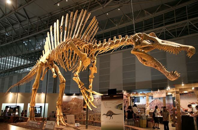 Spinosaurus. By Kabacchi