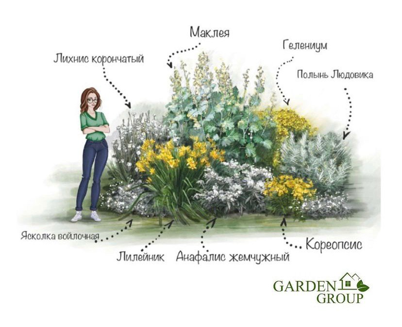 Изображение принадлежит автору. Копирование строго запрещено