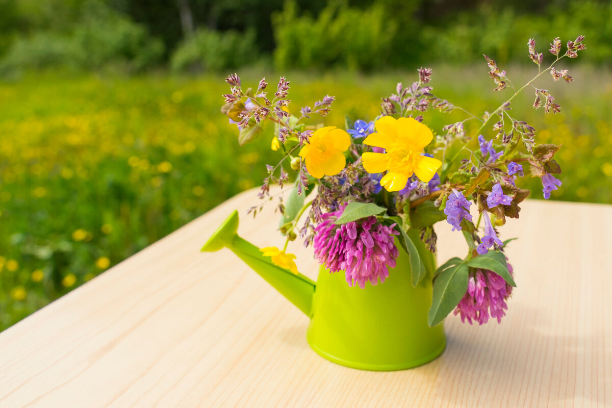 Как взглянуть на жизнь с новым интересом?