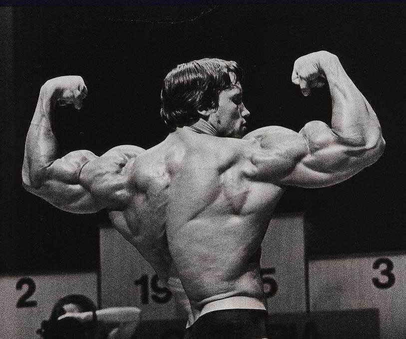 Conquer Arnold Schwarzenegger