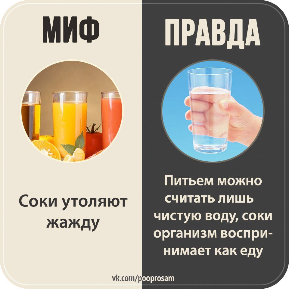 Миф и правда в картинках