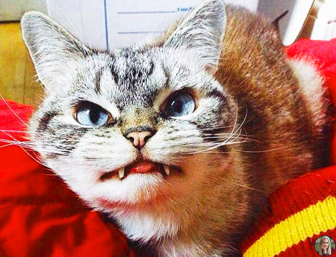 Источник: vk.com