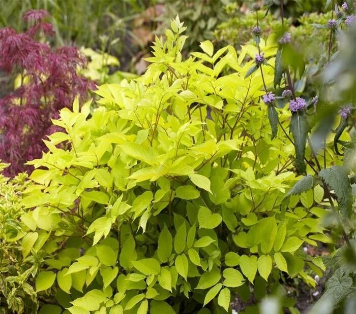 Фото из интернета