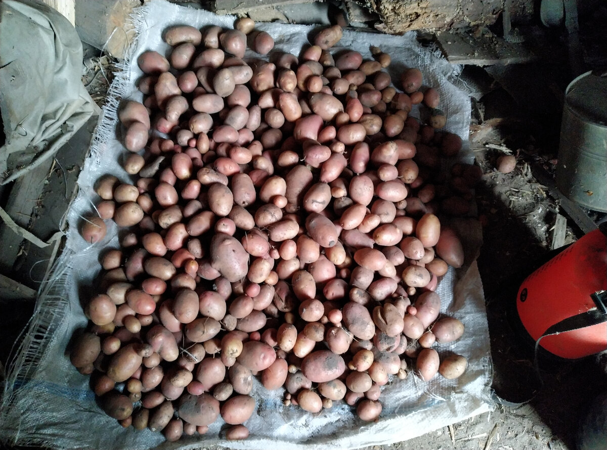 С полутора рядков. Еще их шесть. Рядков