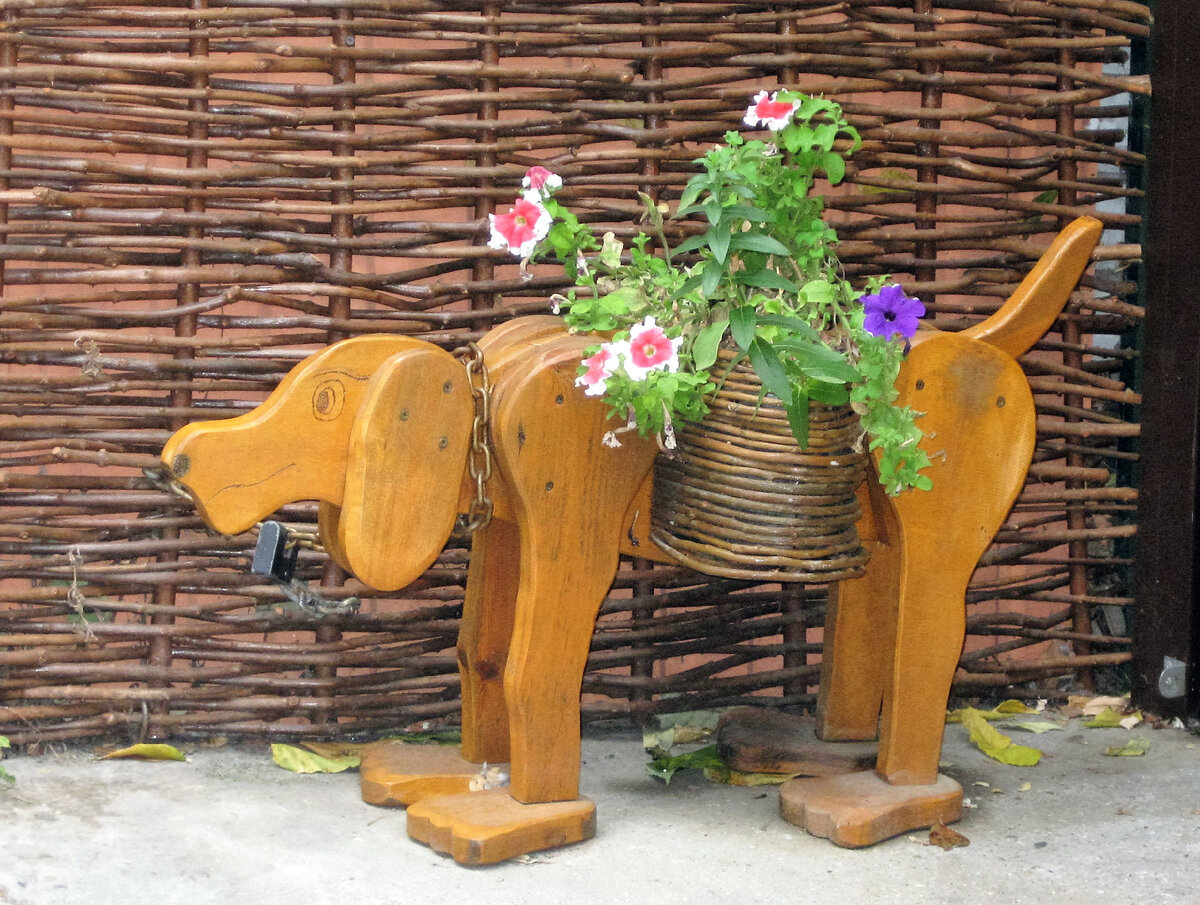 Собачка из Гурзуфа. Фото автора