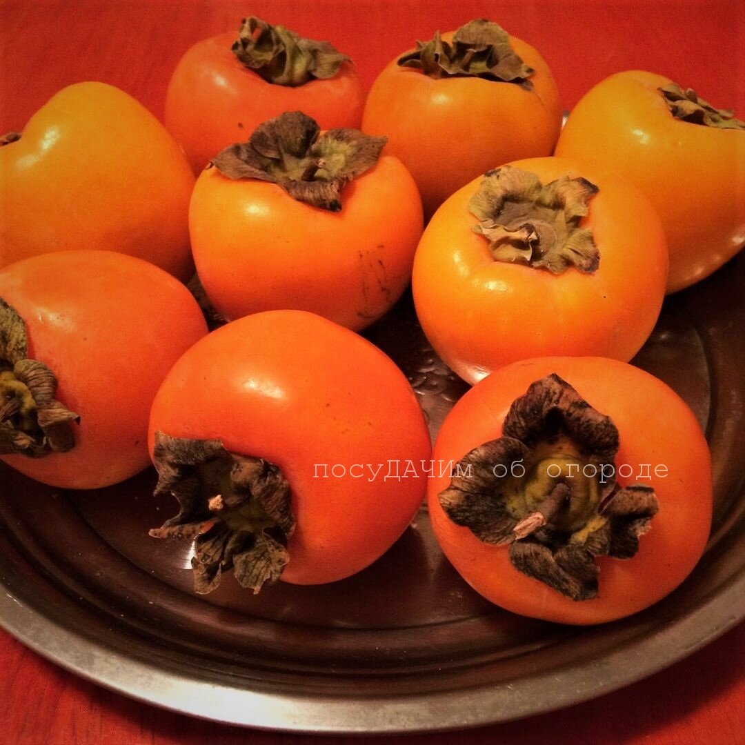 Самый популярный вид