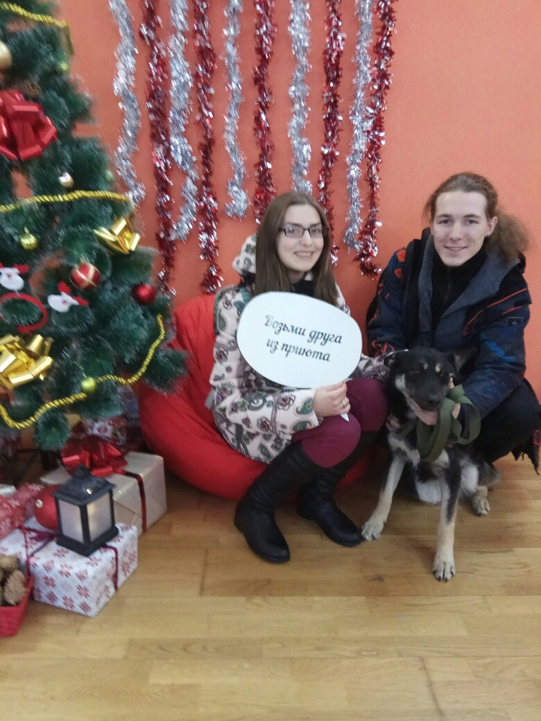 Выставка-раздача животных «Щенячий патруль», декабрь 2018 года