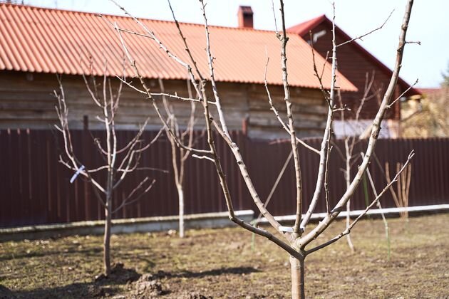 работы на участке в ноябре