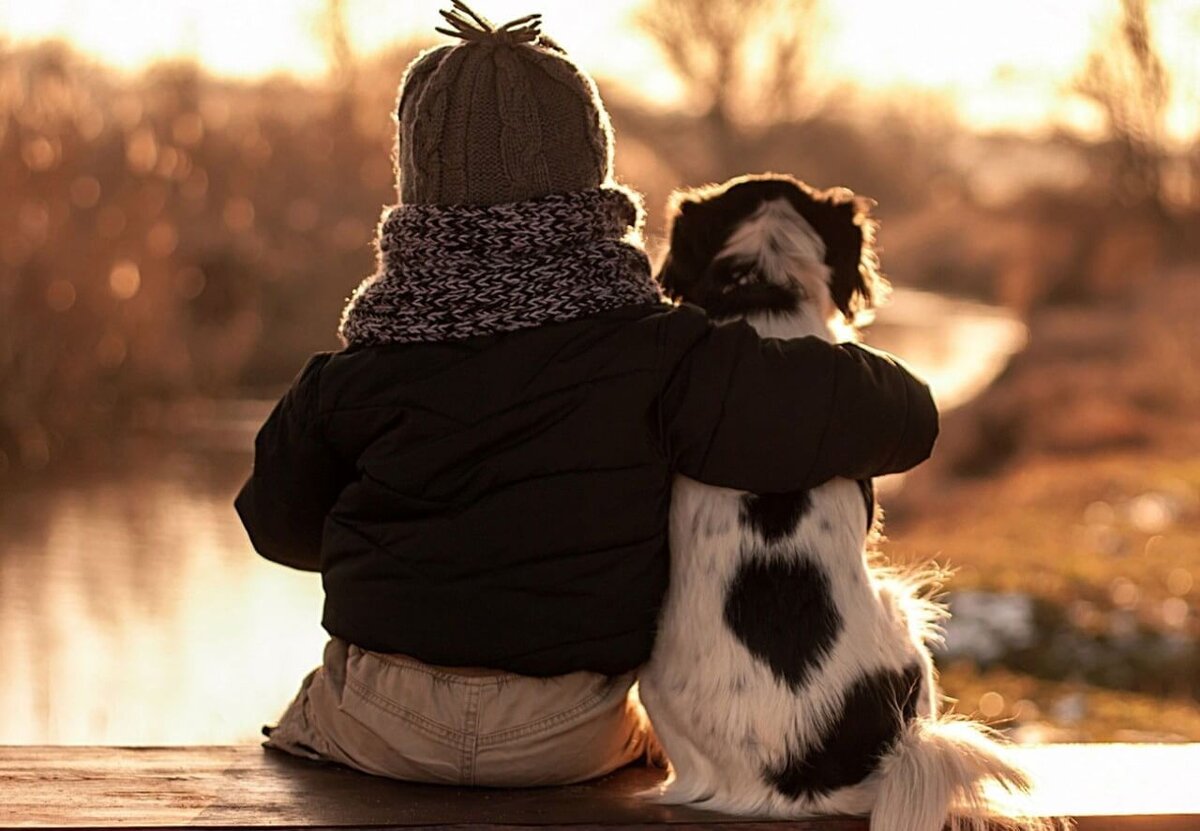 Фотография взята с сайта Региональный центр развития движения "Абилимпикс" Пермского края.