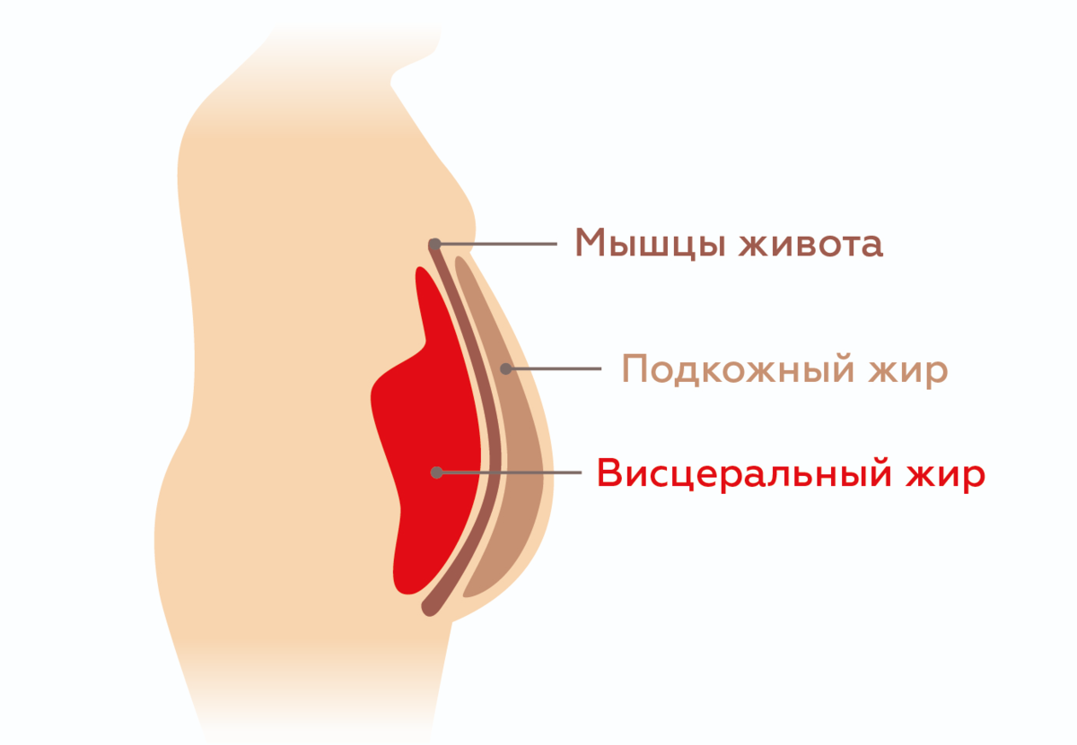 Как убрать выпирающий твердый живот. Избавляемся от висцерального жира |  Фитнес тренер Юрий Спасокукоцкий | Дзен