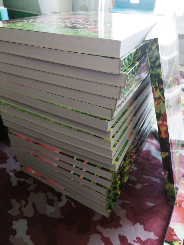 Офсетная печать книг в мягком переплете на заказ