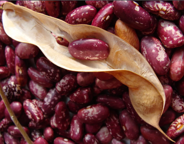 Фото из свободных источников