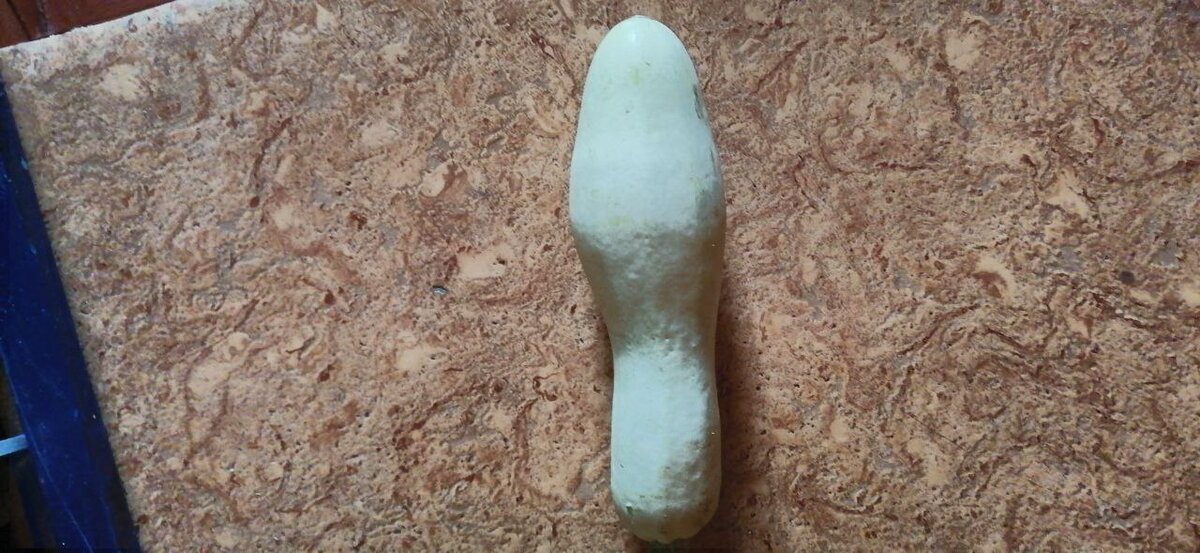 � �� �� �������� ��������