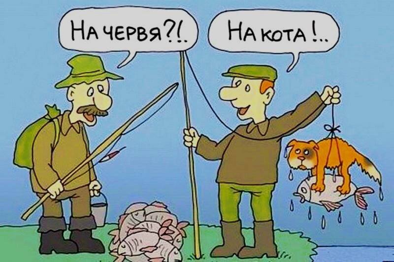 Самые необычные способы ловли рыбы в мире