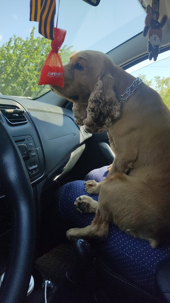 Донбасс возвращается домой 