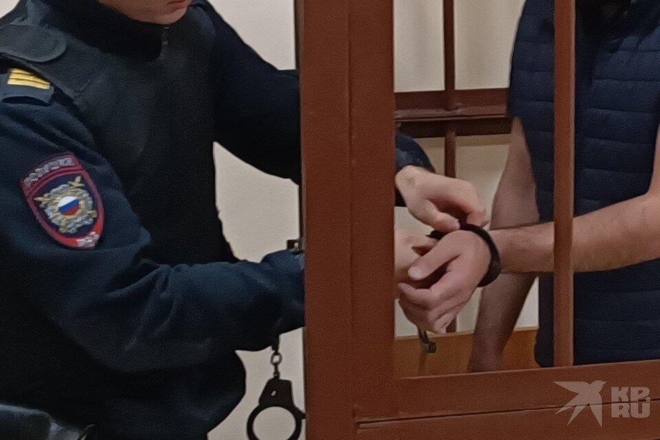     Дело рязанского грабителя-педофила передали в суд. Александра БУДАЕВА