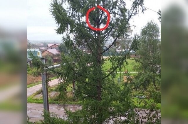    Фото: Из архива/ Олеся Ж.