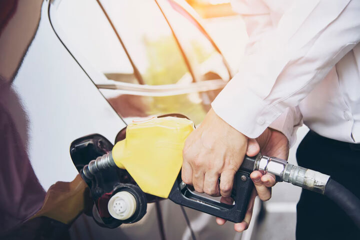 Фото: ru.freepik.com 