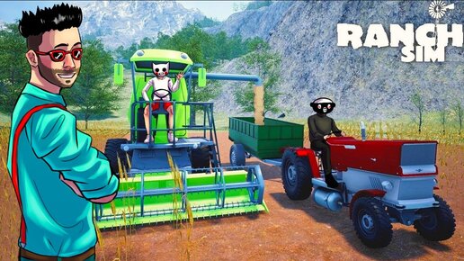 РАНЧО ПРОЦВЕТАЕТ! СОБИРАЕМ ПЕРВЫЙ УРОЖАЙ С ПОЛЯ В RANCH SIMULATOR