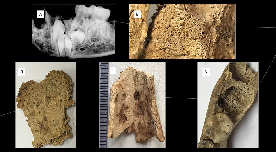   N + 1; Нина Моргунова и др. / Вестник археологии, антропологии и этнографии, 2023