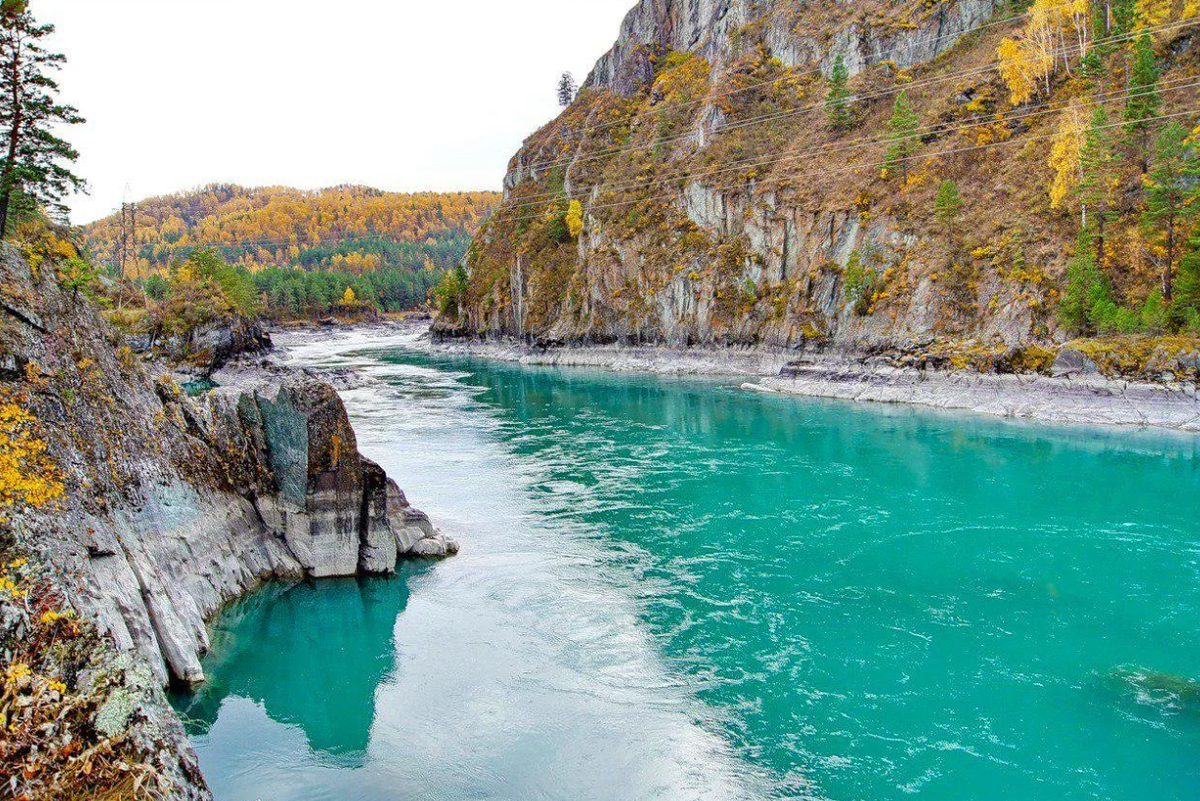Как выглядит катунь сейчас фото