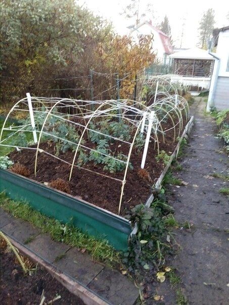 Укрытие из стеклопластиковой арматуры это лучшее из возможного на сегодня! Они просты ,удобны и могут быть любой формы 