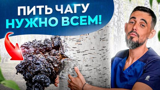 23 причины начать пить березовую Чагу. Поразительный эффект!