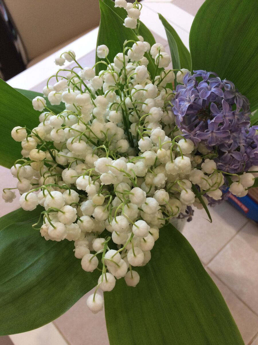 Люблю ландыши, аромат потрясающий 